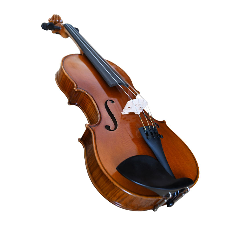 Semi Acoustic Violin