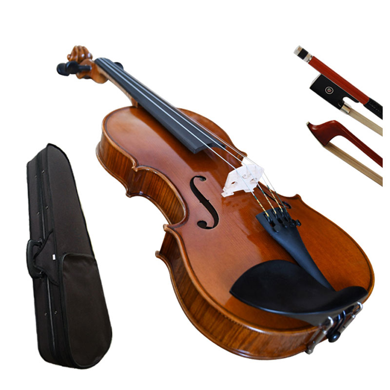 Semi Acoustic Violin