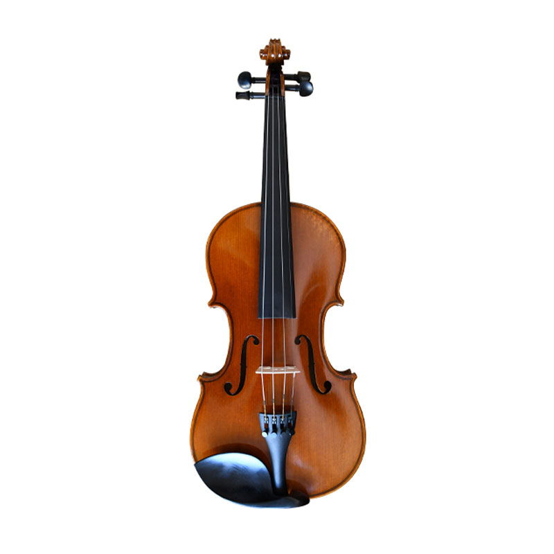 Semi Acoustic Violin