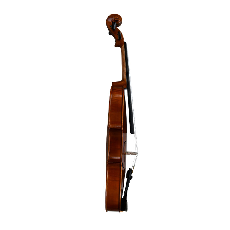 Semi Acoustic Violin