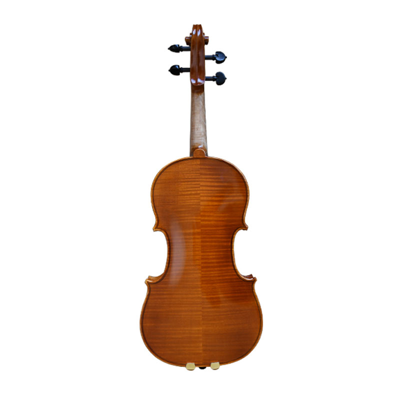 Semi Acoustic Violin