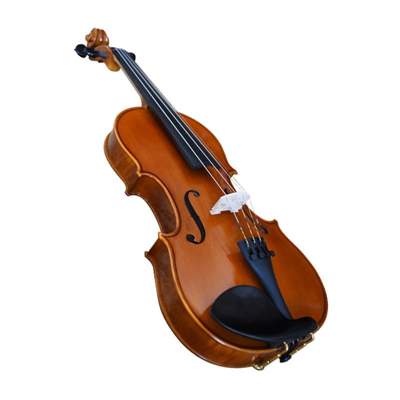 Semi Acoustic Violin