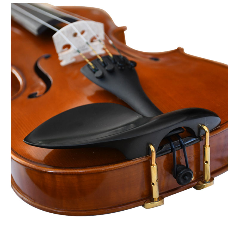 Semi Acoustic Violin