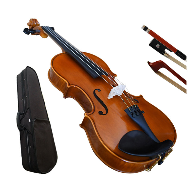 Semi Acoustic Violin