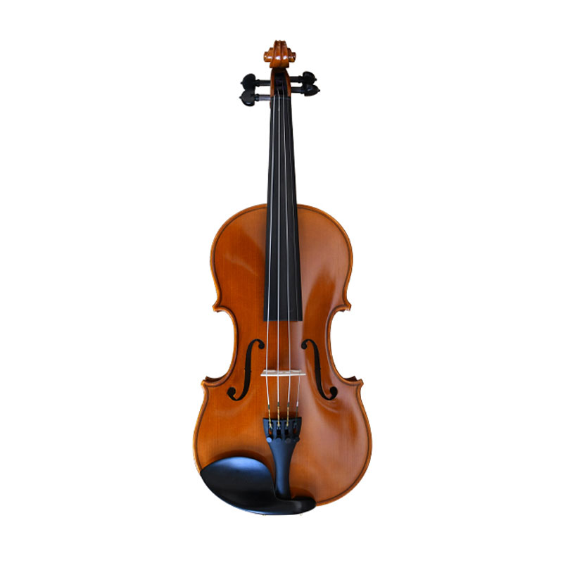 Semi Acoustic Violin