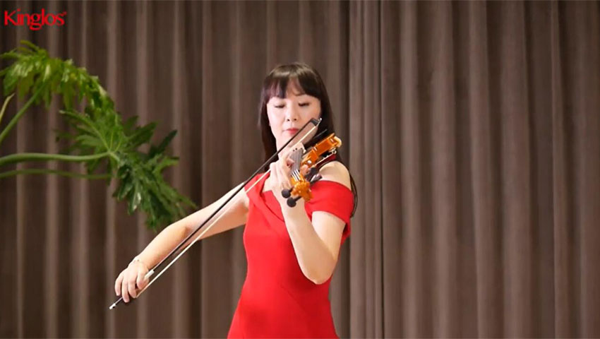 Professional Electric Violin