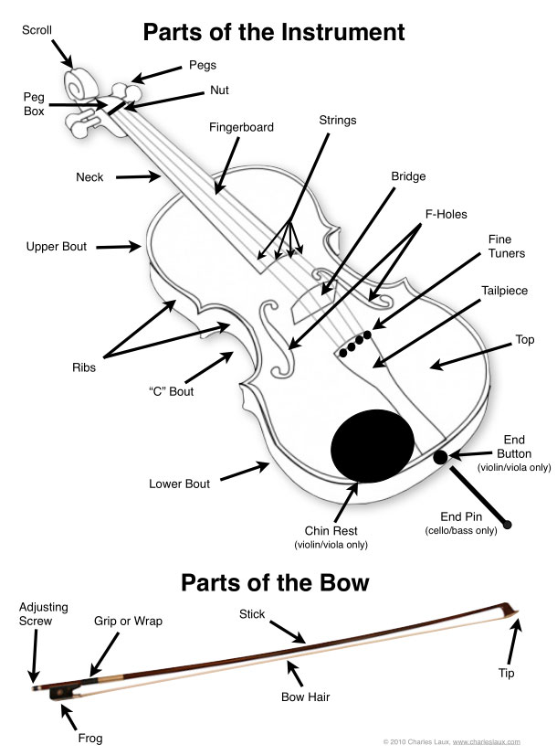 Learn The Parts Of The Violin