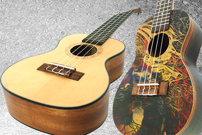 What Are The Obvious Difference Between Guitars And Ukuleles?