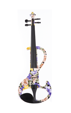 Intermediate Electric Violin