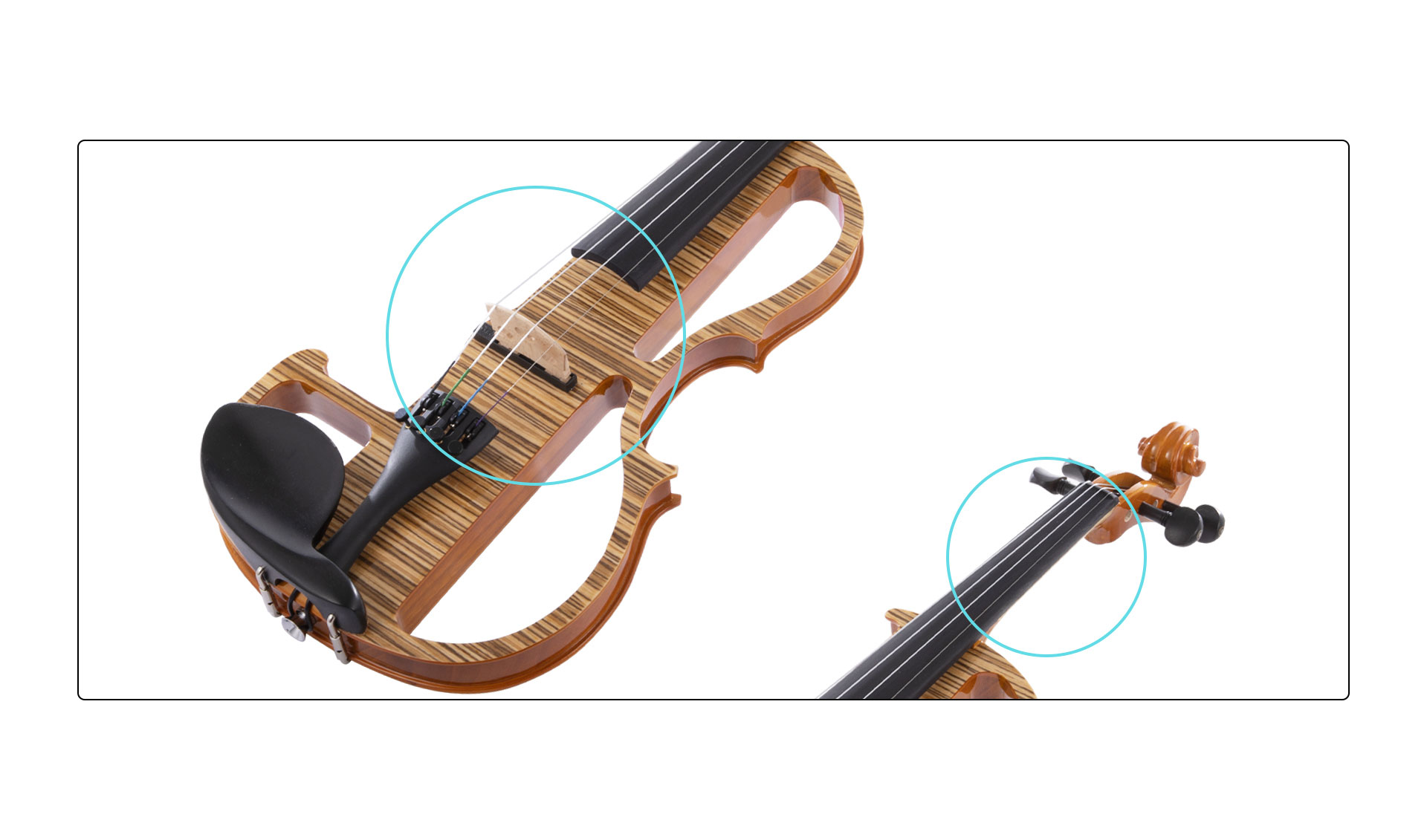 String Music Instruments
