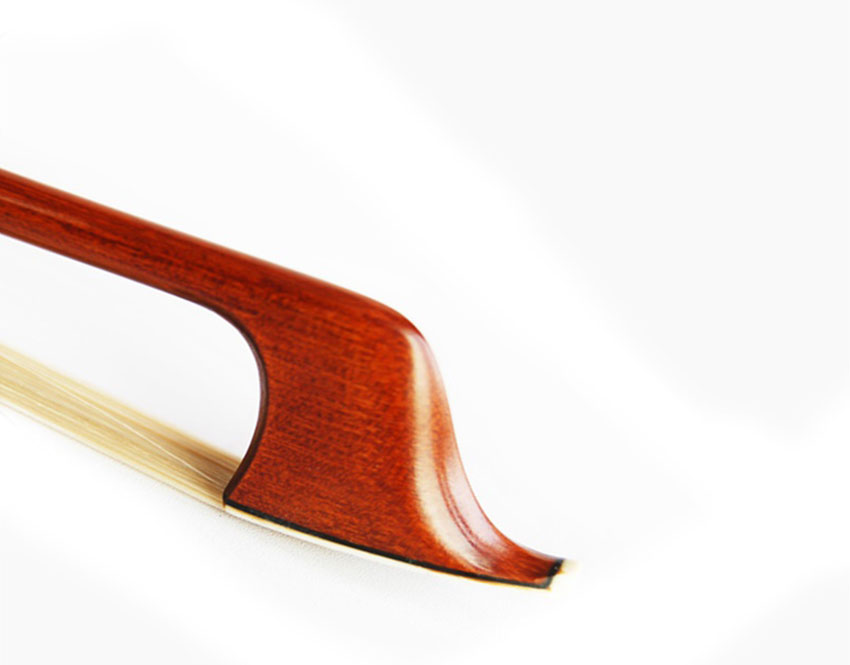 violin bow wood