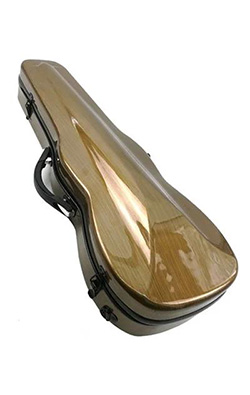 Violin Case