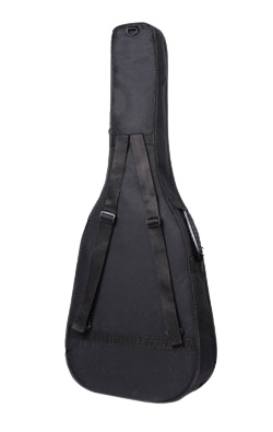 Guitar Cases And Bags