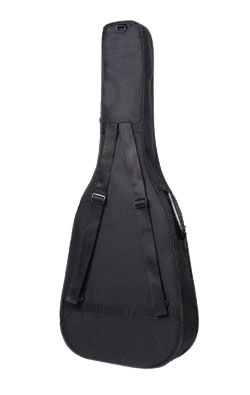 Guitar Case