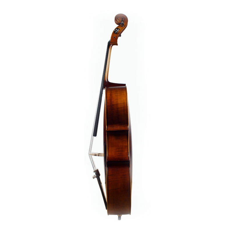 acoustic-cello-hsdt-phb-dt1004-3.jpg