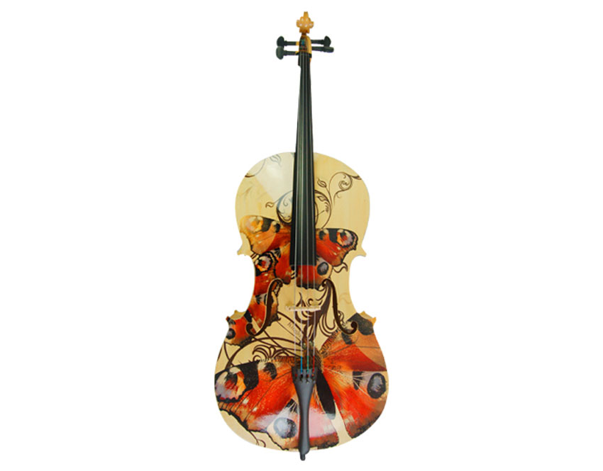 Arts Acoustic Cello